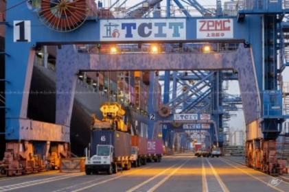 6 cảng Việt Nam lọt top Chỉ số hoạt động cảng container
