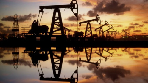 Giá dầu rục rịch tăng sau khi Saudi Arabia tự nguyện cắt sản lượng 1 triệu thùng/ngày