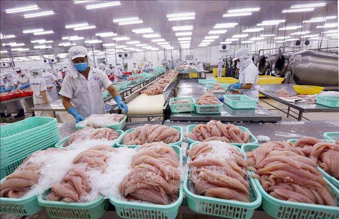 Xuất khẩu thủy sản khó phục hồi trong quý III