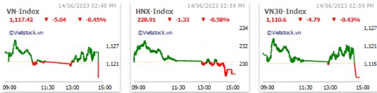 Nhịp đập Thị trường 14/06: Nhiều Large Cap rơi rụng cuối phiên, VN-Index ngậm ngùi giảm điểm