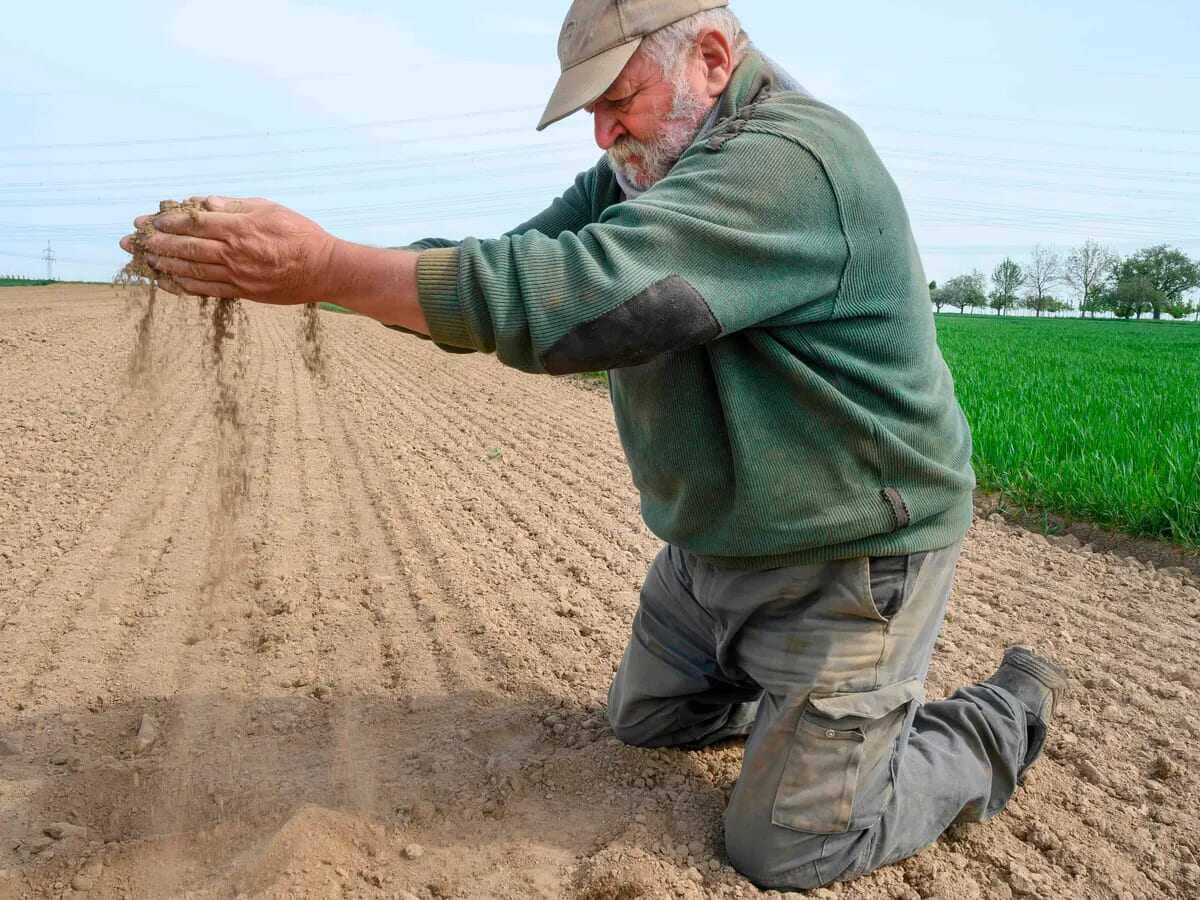 Châu Âu đau đầu trước nguy cơ lạm phát lương thực vì thời tiết khô hạn