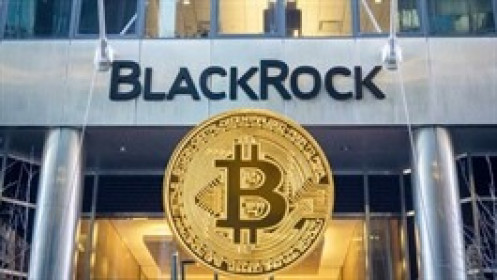Thị trường tiền ảo tuần qua: Sắc đỏ trên diện rộng, BlackRock muốn ra mắt quỹ ETF Bitcoin