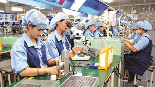 Doanh nghiệp Nhật Bản mong muốn mua hàng từ các nhà sản xuất địa phương Việt Nam