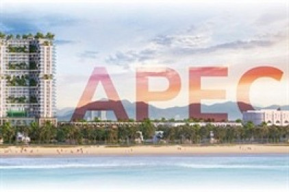 Nhóm APEC đồng loạt lên tiếng về vụ án thao túng thị trường chứng khoán