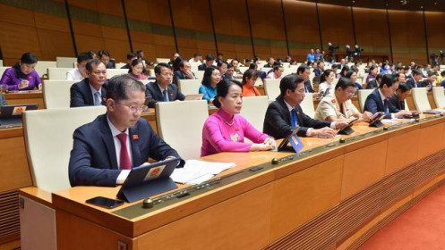 Quốc hội yêu cầu xử lý dứt điểm các vụ việc liên quan đến Công ty Việt Á