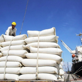 Hoàn thiện khung pháp lý đủ mạnh về kinh doanh xuất khẩu gạo