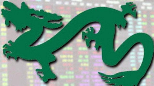 Hai quỹ ETF của Dragon Capital hút tiền mới, mua mạnh chứng khoán tuần qua