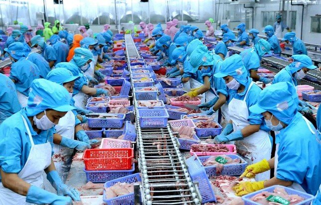 Việt Nam xuất khẩu thủy sản vào Mỹ lớn nhất