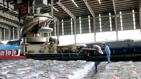 Kim ngạch xuất khẩu phân bón giảm mạnh 5 tháng đầu năm