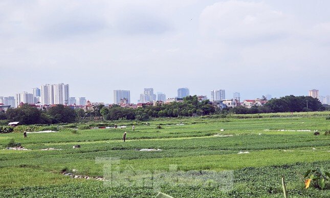Siêu dự án khu nhà ở sinh thái Đồng Mai 'ôm' đất gần 20 năm không triển khai