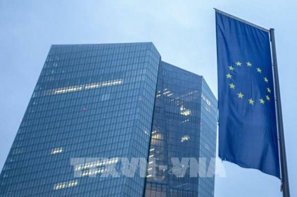 ECB: Lợi nhuận trong Eurozone vẫn gây sức ép lên lạm phát nhiều hơn tiền lương