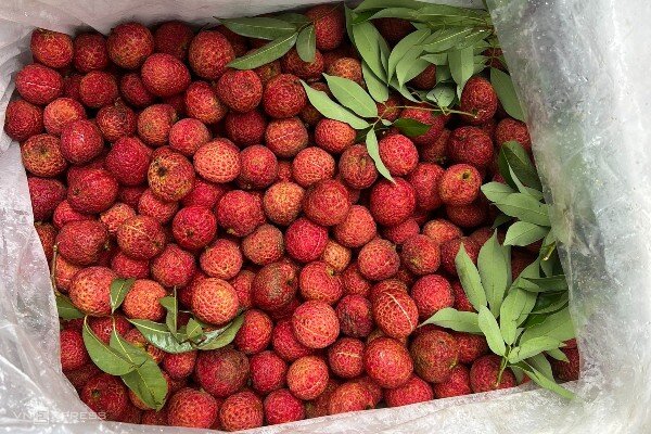 4 loại quả đặc sản của Việt Nam giá cao gấp chục lần quả thông thường vẫn được săn đón, còn được xuất khẩu ra nước ngoài