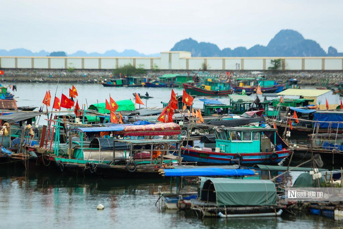 Việt Nam tự tin với mục tiêu xuất khẩu rau củ đạt 10 tỷ USD