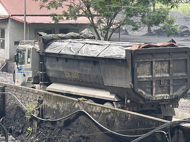 Hơn một trăm tấn than của Công ty Gang thép Thái Nguyên bị tuồn ra ngoài