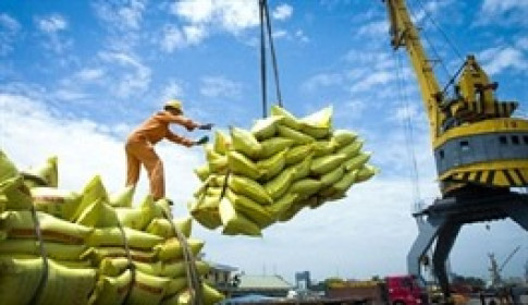 Thủ tướng chỉ đạo tăng cường các giải pháp thúc đẩy sản xuất, xuất khẩu gạo