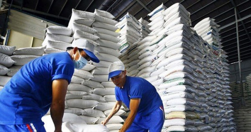 Vét sạch kho gạo không đủ xuất khẩu, dự báo lập kỷ lục 4 tỷ USD