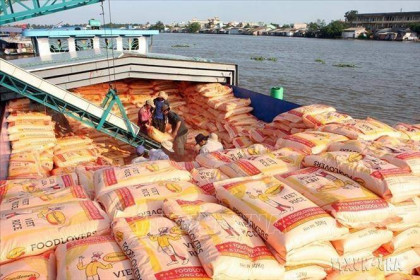 Bộ trưởng Lê Minh Hoan: Nắm bắt cơ hội đẩy mạnh xuất khẩu gạo