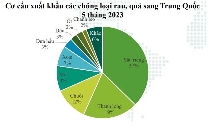 5 loại trái cây Việt Nam được Trung Quốc nhập khẩu nhiều nhất