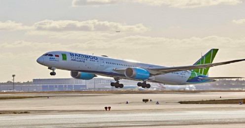 Tân Chủ tịch Bamboo Airways Lê Thái Sâm sở hữu trên 50% cổ phần hãng bay
