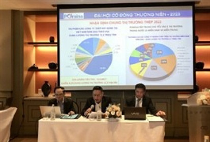 ĐHĐCĐ POM: Chủ tịch Đỗ Duy Thái nói về lý do điều chỉnh kế hoạch từ lãi 300 tỷ thành lỗ 150 tỷ đồng