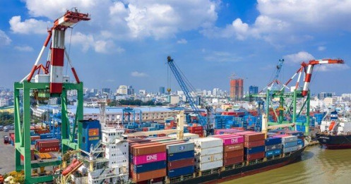 Phí chuyển container Bắc - Nam đắt gấp đôi đi Mỹ