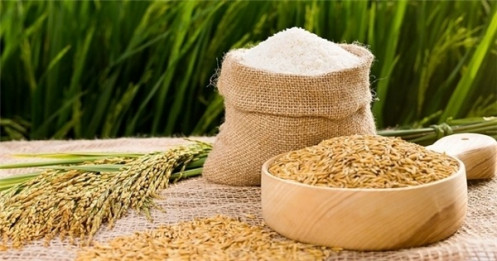 Gạo Việt ngày càng ‘vững chân’ ở châu Âu