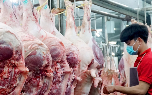 Giá lợn hơi cao nhất năm: Lý do người nuôi không vội tái đàn
