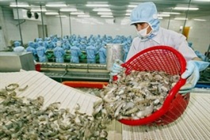 6 tháng đầu năm 2023, Trung Quốc là khách hàng mua nông sản Việt nhiều nhất