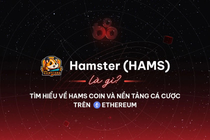 Hamster (HAMS) là gì? Tìm hiểu về HAMS coin và nền tảng cá cược trên Ethereum
