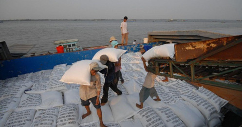 Bộ Công Thương chỉ đạo hỏa tốc trước việc Ấn Độ cấm xuất khẩu gạo