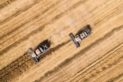 Chuyên gia: Mỹ khó có thể tìm được giải pháp thay thế cho thỏa thuận ngũ cốc