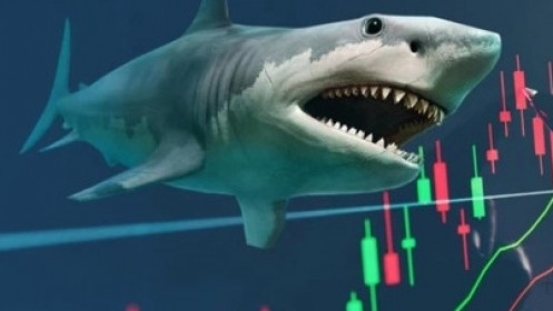 "Cá mập" kỳ vọng VNI sẽ còn đi lên nhờ lãi suất giảm, tiền đổ vào chứng khoán?