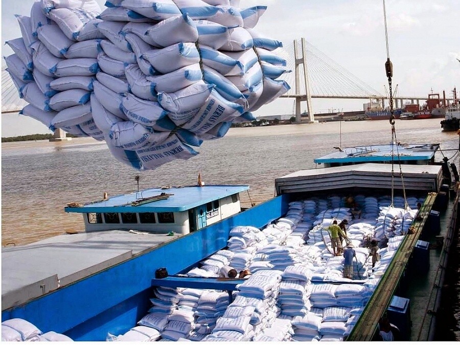 Xuất khẩu gạo tăng 28%,trở thành điểm sáng trong "bức tranh" xuất khẩu
