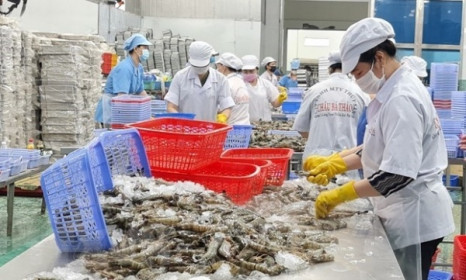 Những lý do khiến xuất khẩu thủy sản của Việt Nam sẽ phục hồi vào cuối năm