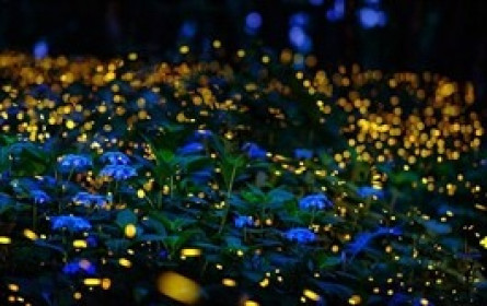Cổ phiếu ngân hàng “bừng sáng” trong tháng 7