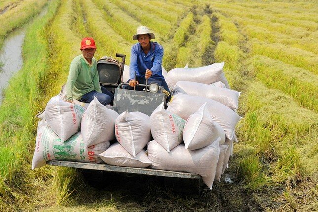 Các nước cấm xuất khẩu gạo, Bộ Nông nghiệp đề xuất gì với Thủ tướng?