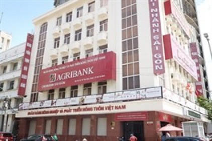 Agribank lãi trước thuế 6 tháng gần 13,498 tỷ đồng, giảm 12% so cùng kỳ