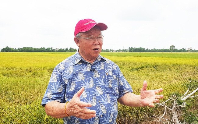 Giá gạo Việt xuất khẩu tăng từng ngày, sắp vượt mốc 600 USD/tấn