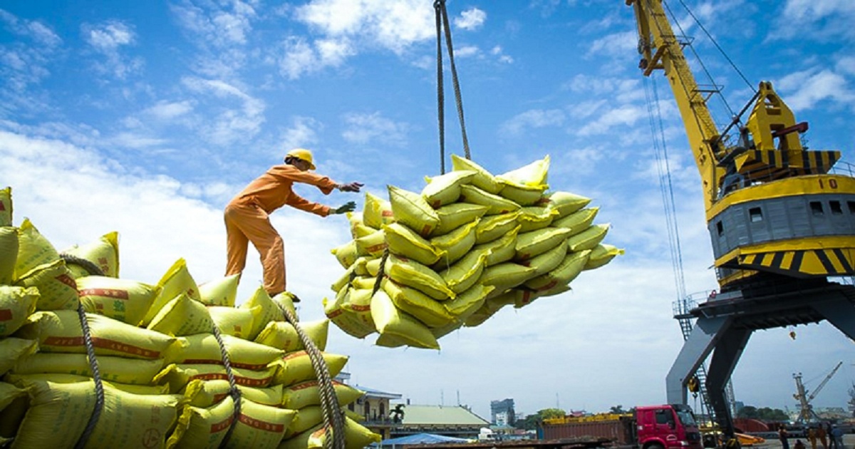 Giá gạo Việt xuất khẩu tăng từng ngày, sắp vượt mốc 600 USD/tấn