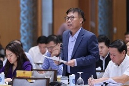 Chủ tịch Đầu tư IMG kiến nghị hạ lãi suất trung hạn về 8.5%/năm để Việt Nam tiếp tục là con rồng châu Á