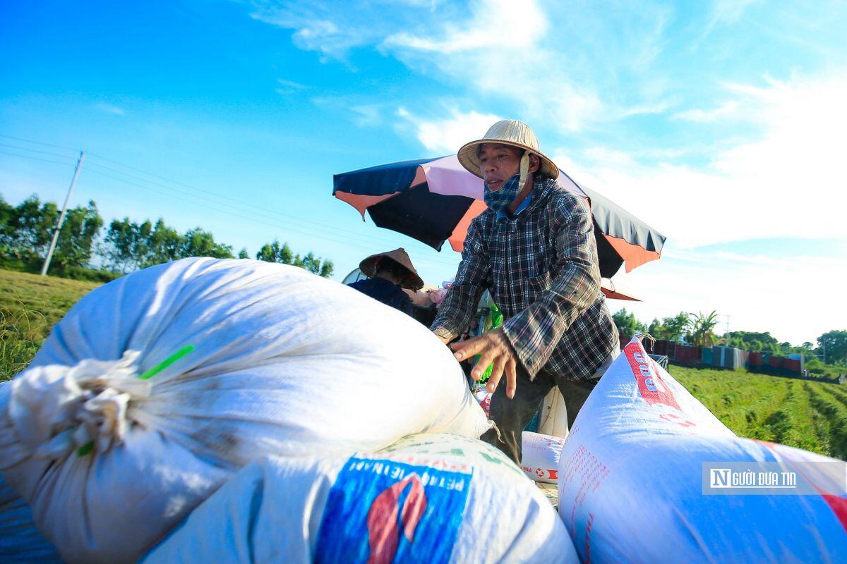 VCCI nêu lý do khiến gạo của Việt Nam trở nên đắt, khó xuất khẩu hơn