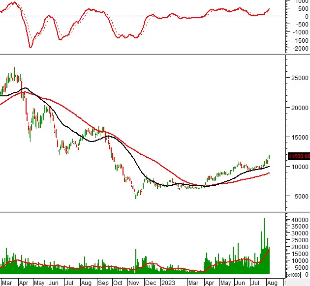 Ngày 08/08/2023: 10 cổ phiếu nóng dưới góc nhìn PTKT của Vietstock