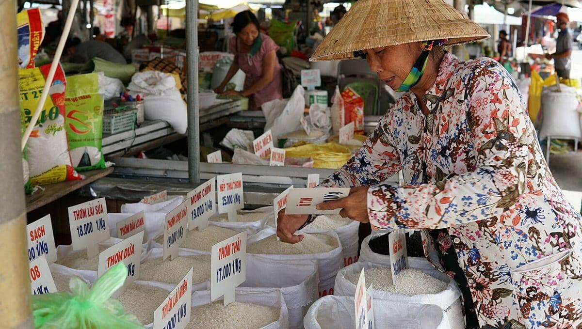 Giá gạo tăng nhanh, thương buôn thận trọng nhập hàng vì sợ lỗ