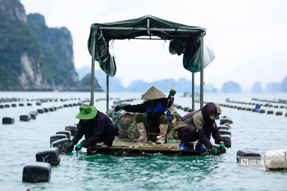 Bộ NN&PTNT đề nghị hạ giá thành trong nuôi trồng thủy sản