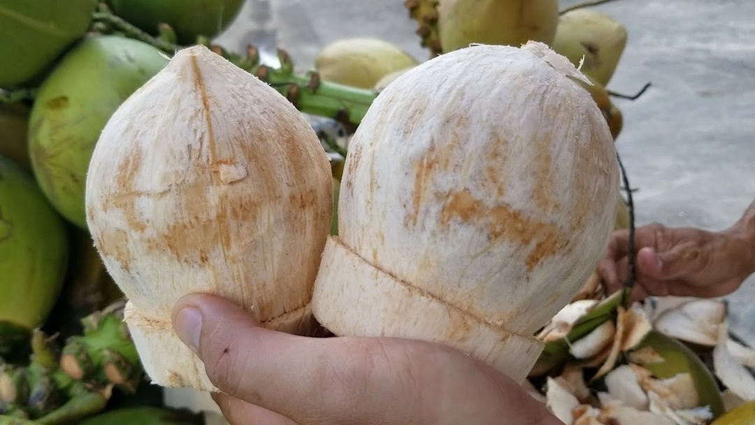 Tin vui cho quả dừa Việt Nam tại thị trường Mỹ