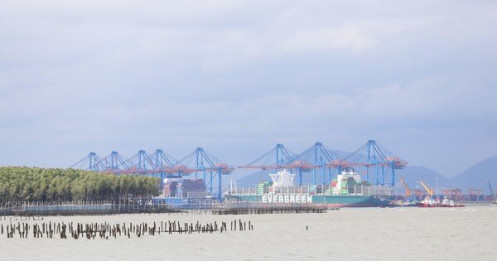 TPHCM kết luận về đề án 'siêu cảng' Cần Giờ hơn 5,4 tỷ USD