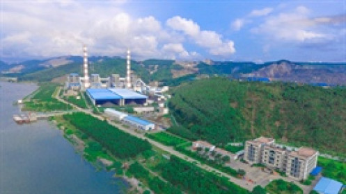 Nhiệt điện Quảng Ninh sắp chi 562 tỷ đồng cổ tức đợt 3/2022