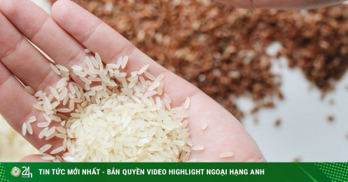 Giá gạo tăng cao nhất trong 12 năm qua