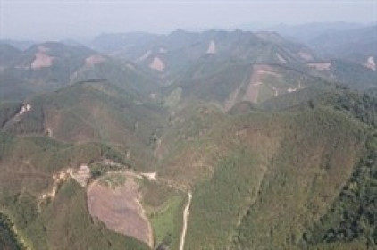 Dự án kêu gọi đầu tư tuần 05-11/08: Bắc Giang gọi đầu tư "siêu" nghĩa trang hơn 3.7 ngàn tỷ