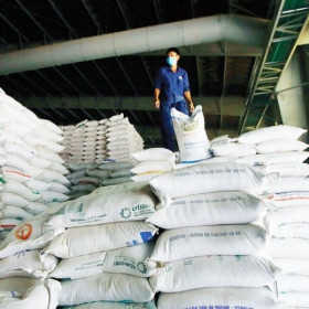 Giá gạo tăng: Thời cơ và dự báo